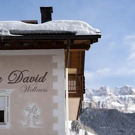 David Dolomites Hotel