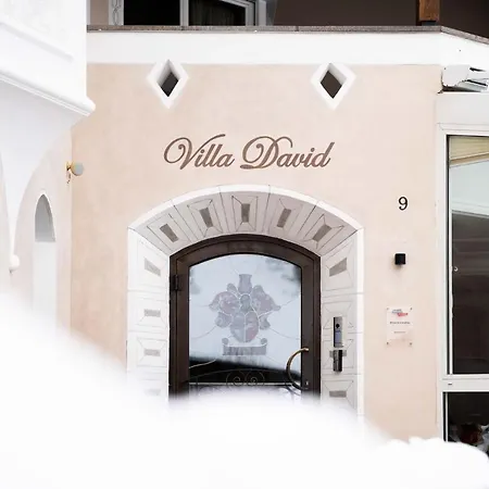 David Dolomites 3* Сельва-ди-Валь-Гардена