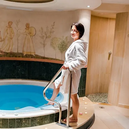 David Dolomites Hotel 3*
