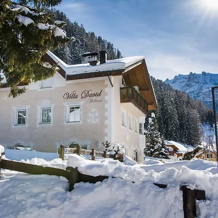David Dolomites 3* Selva di Val Gardena